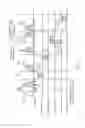Fig. 10 - Beamforming report structure