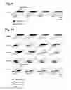 Fig. 08 - Search space for ePDCCH control information in an OFDM-based mobile communication system