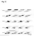 Fig. 12 - Search space for ePDCCH control information in an OFDM-based mobile communication system