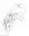 Fig. 03 - Mower for attachment to an agricultural vehicle