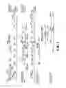 Fig. 02 - Genetically modified non-human mammals and cells