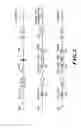 Fig. 03 - Genetically modified non-human mammals and cells