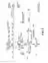 Fig. 04 - Genetically modified non-human mammals and cells