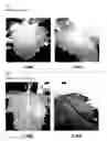 Fig. 07 - Adjuvant