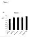 Fig. 05 - DOUGH AND BREAD IMPROVER