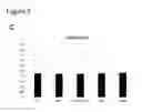 Fig. 08 - DOUGH AND BREAD IMPROVER