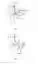 Fig. 07 - System and method for removing a thigh bone from a defeathered whole leg poultry product
