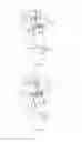 Fig. 14 - System and method for removing a thigh bone from a defeathered whole leg poultry product