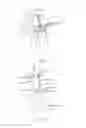 Fig. 15 - System and method for removing a thigh bone from a defeathered whole leg poultry product