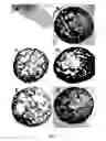Fig. 04 - MELT-RESTRICTED, NATURAL CHEESE AND METHOD OF MAKING THE SAME