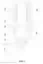 Fig. 02 - Ceramic atomizing wick and cigarette cartridge
