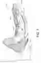 Fig. 04 - Gripping Glove