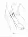 Fig. 03 - Antimicrobial Arm Sleeve