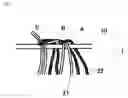 Fig. 02 - False eyelashes