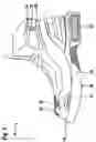 Fig. 04 - Work shoe