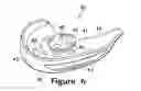Fig. 07 - Article of footwear incorporating a sole structure with elements having different compressibilities