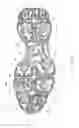 Fig. 06 - Outsole of a footwear article, having fin traction elements