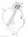 Fig. 09 - Raised Bow Construction and Method