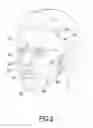 Fig. 03 - FACIAL MASK