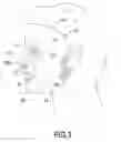 Fig. 04 - FACIAL MASK