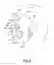 Fig. 07 - FACIAL MASK