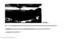Fig. 13 - Day-Cab Lounger