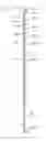 Fig. 01 - Single piece hammock strap with integral woven eyelets
