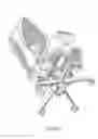 Fig. 07 - Chair