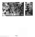 Fig. 06 - Continuous diode laser stimulated Raman gain/loss vibrational microscope
