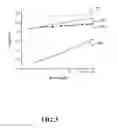 Fig. 06 - System and method for improved cardiac rhythm classification from the time between heart beat intervals using non-linear dynamics