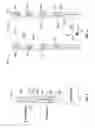 Fig. 04 - DEVICE, SYSTEM AND METHOD FOR MEASURING ESOPHAGEAL MUCOSAL IMPEDANCE