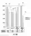 Fig. 17 - METHOD AND APPARATUS FOR IDENTIFICATION OF BIOMARKERS IN BREATH AND METHODS OF USNG SAME FOR PREDICTION OF LUNG CANCER