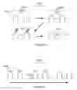 Fig. 12 - On-body microsensor for biomonitoring