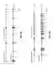 Fig. 07 - Bioresorbable silicon electronics for transient implants