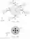 Fig. 03 - OBJECT INFORMATION ACQUIRING APPARATUS