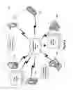 Fig. 07 - NETWORKED IMAGING SYSTEM WITH REAL-TIME FEEDBACK LOOP