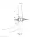 Fig. 08 - Endobronchial catheter