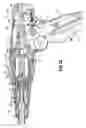 Fig. 16 - Endoscopic reposable surgical clip applier