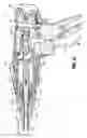 Fig. 25 - Endoscopic reposable surgical clip applier