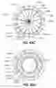 Fig. 30 - DEVICES FOR THERAPEUTIC VASCULAR PROCEDURES