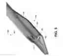 Fig. 09 - Stabilizing microfracture device