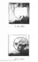 Fig. 14 - Method and apparatus for grafting of skin tissue