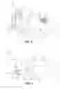 Fig. 04 - Rod connector with swivel collet
