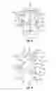 Fig. 04 - IMPLANT AND METHOD FOR FACET IMMOBILIZATION