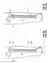 Fig. 04 - FIXTURE FOR INSTALLING LOCKING SCREWS INTO INTRAMEDULLARY NAILS