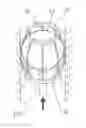 Fig. 01 - Electrode for high-frequency surgery, high-frequency surgery device, and method for controlling same