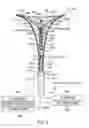 Fig. 07 - GYNECOLOGICAL TREATMENT METHODS