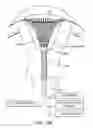 Fig. 22 - GYNECOLOGICAL TREATMENT METHODS