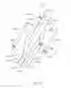 Fig. 07 - Low profile catheter assemblies and associated systems and methods