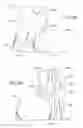 Fig. 16 - Illumination sleeve